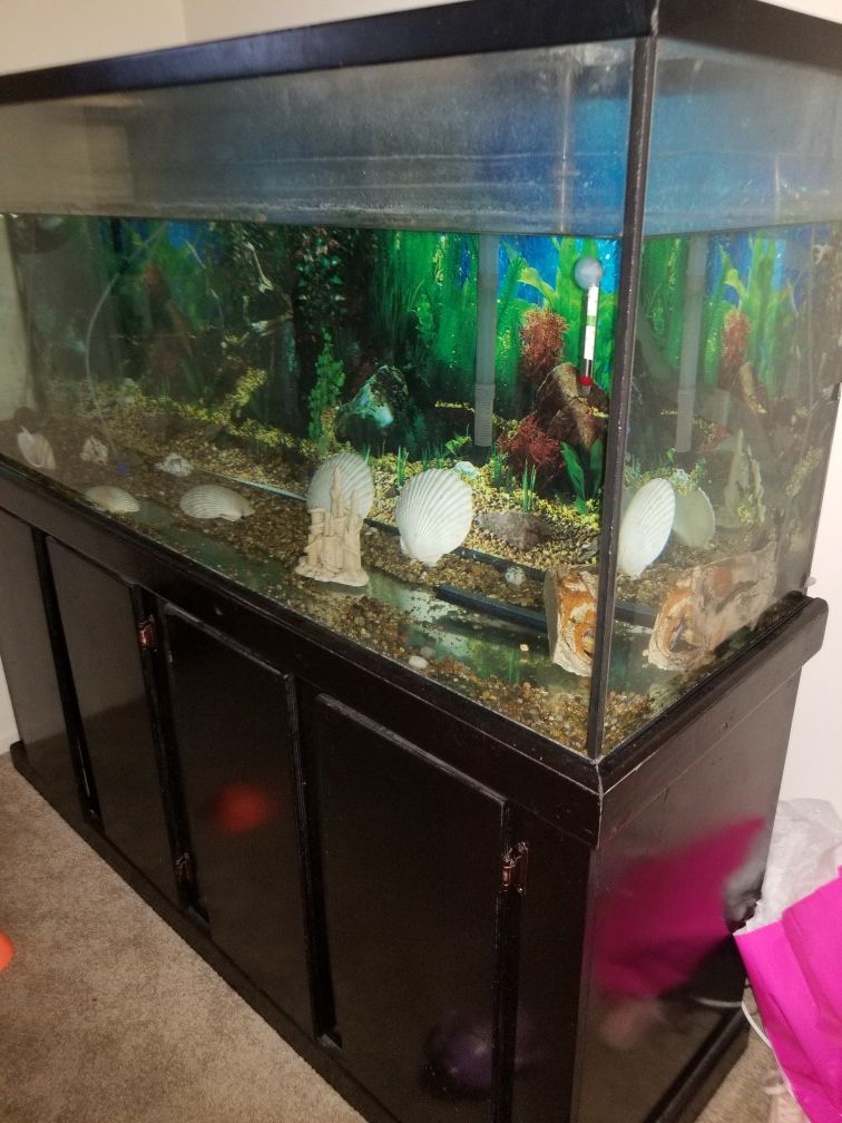 100 gallon fish tank . Including fish tank stand/storage also fish tank accessories included . Make me an offer serious buyers. Pick up only