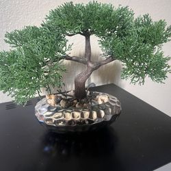 Bonsai Tree