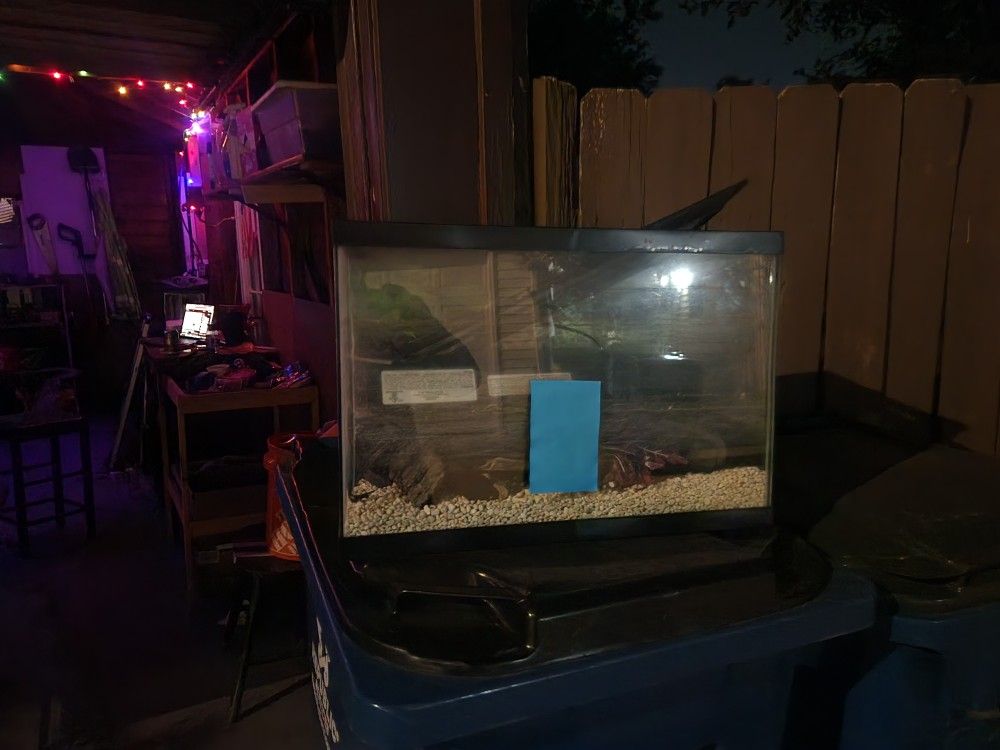Free 25G Fish tank 