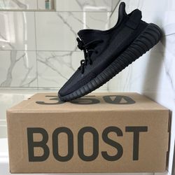 Yeezy Boost 350 Onyx Size 10