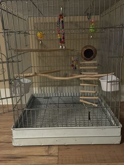 Bird Cage