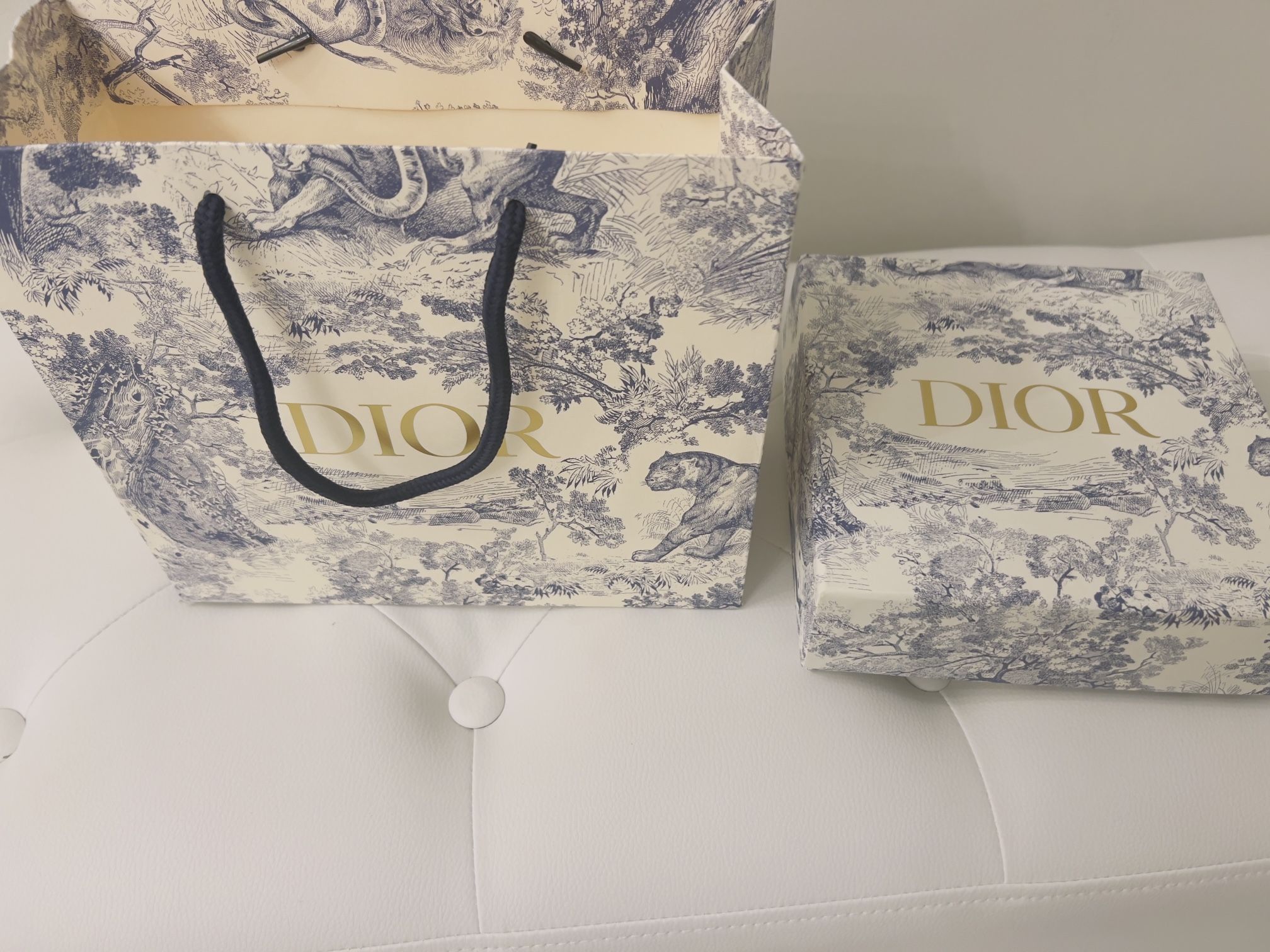 Empty Designer (Dior) Bag And Box