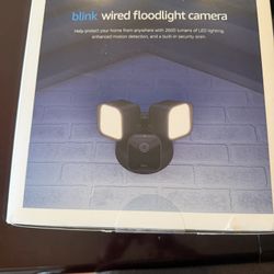 Blink Camara Con  Luz Sensor De Movimiento 