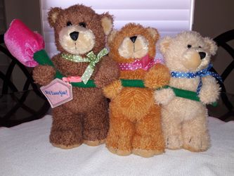 Bears -Teddy
