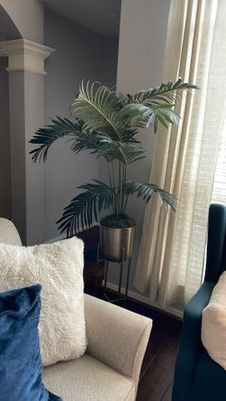 Palm Tree