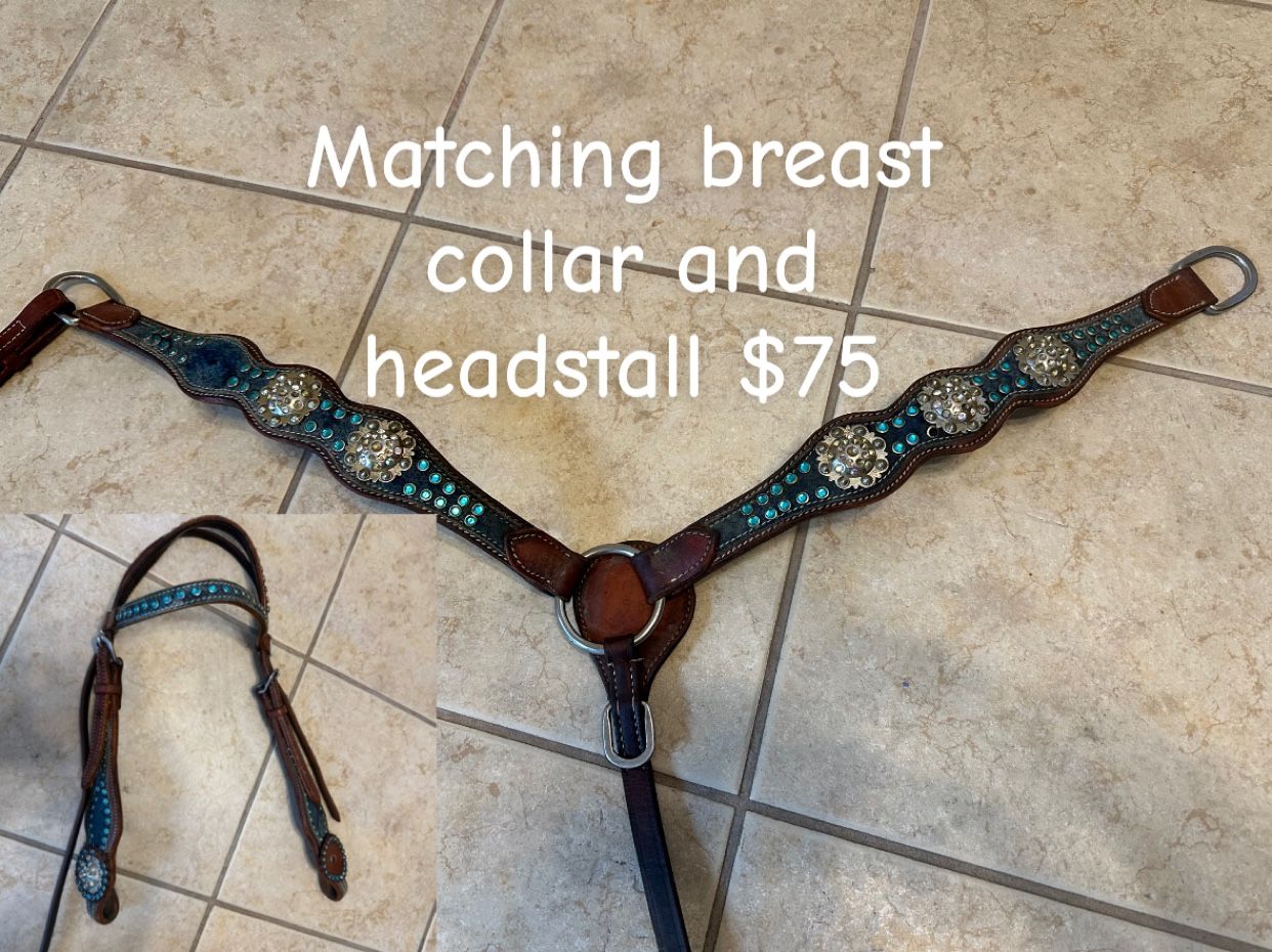 Miscellaneous Horse Tack