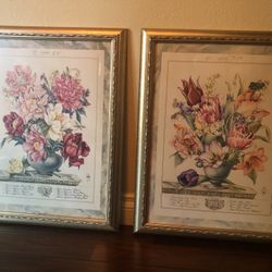 Framed Floral Prints