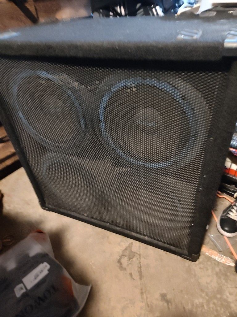Vintage Acoustic TC 410 B Bass Guitar/Speaker cabinet