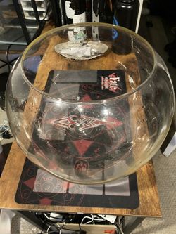 5 gallon glass fish bowl