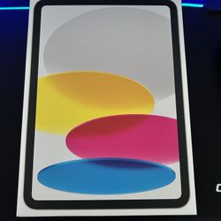 Brand New Silver iPad A16 Wi-Fi + Cellular 256GB