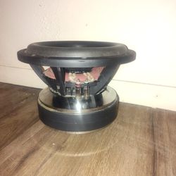 Synergy Audio Wfo 12 D1 