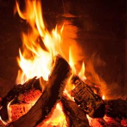 Firewood For Sale ❗