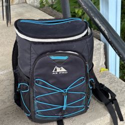 Backpack cooler bag