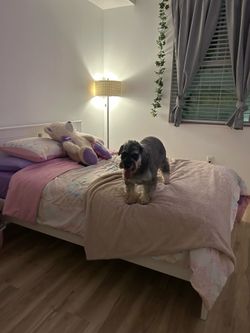 White Full Bed Frame
