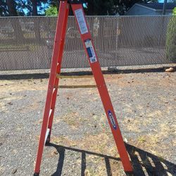 Warner 6' Step Ladder 