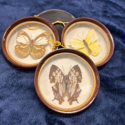 Enesco Mid-Century Butterfly Shadowbox 3”