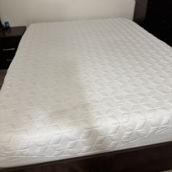 Purple Mattress