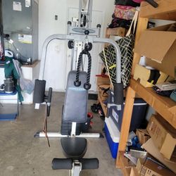 Workout Exercise 