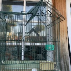 bird cage 