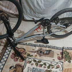 Co Op Bike Rei Large