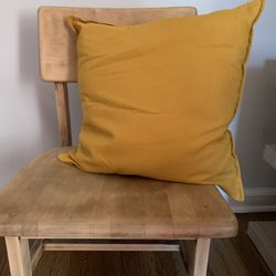 Decorative Chair/Sofa Pillow