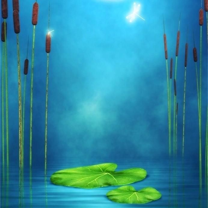5x7ft Dreamy Moon Night Backdrops Pond Water Plants Photography Background Girl Children Toddler Artistic Portrait Hazy