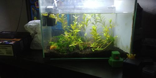 Nano aquarium