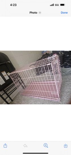 Kennel