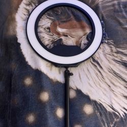 Elgato Ring Light