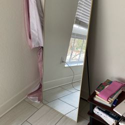 Standing Full Length Mirror