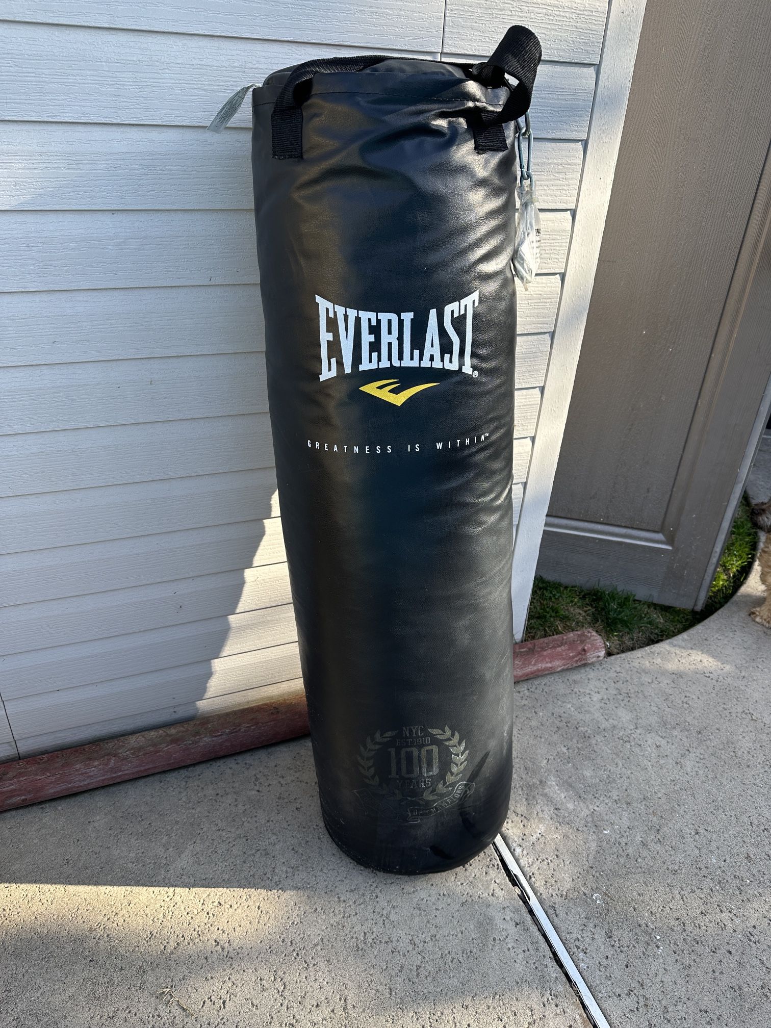 Punching Bag
