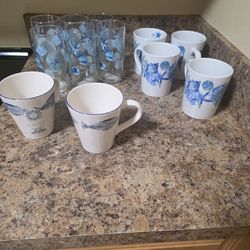 Coastal Glasses 