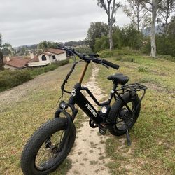 E Bike Pedego Element 