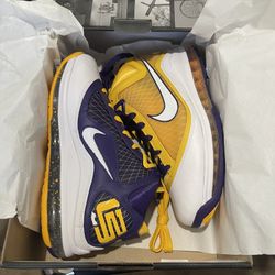 LeBron Lakers VII
