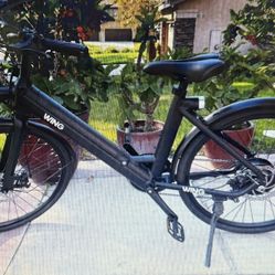 Electric Bike 