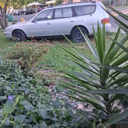 1994 Toyota Camry Wagon