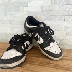 Nike Dunks Kids
