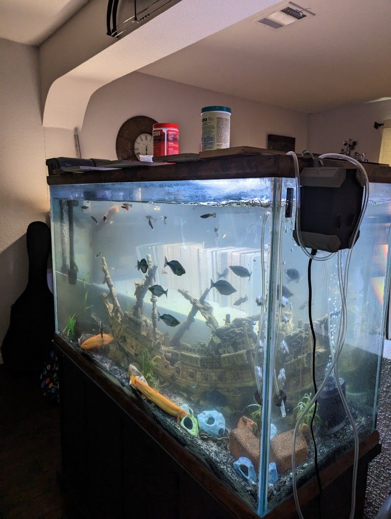 100 Gallon Fish Aquarium for Sale in San Antonio, TX OfferUp