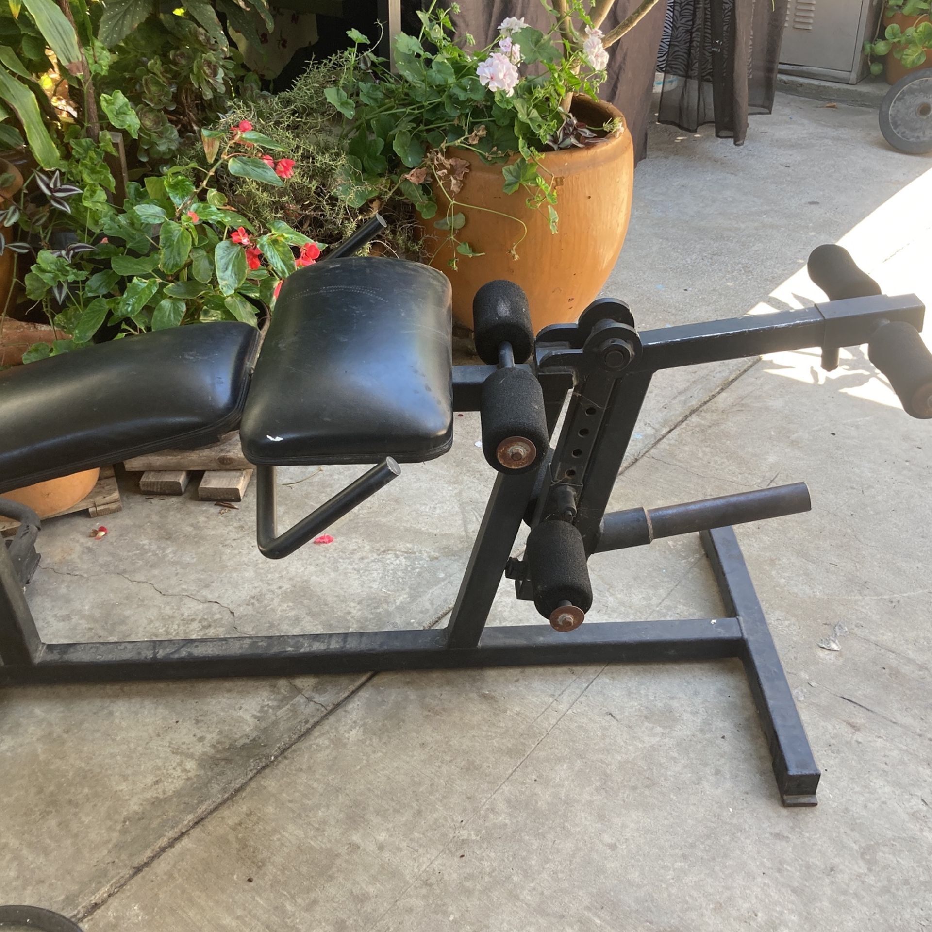 Workout Bench With Leg Extension