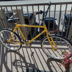 26' Specialized Cruiser 