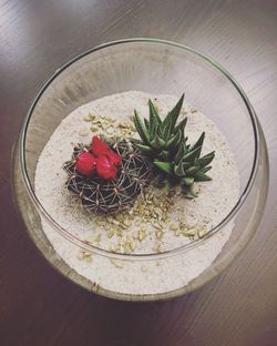 Succulent/Cactus Terrarium Arrangement