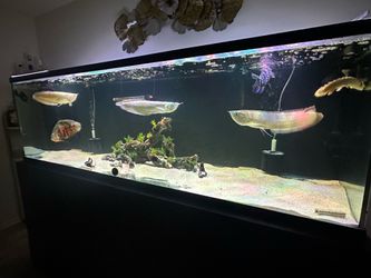 Fish tank decor
