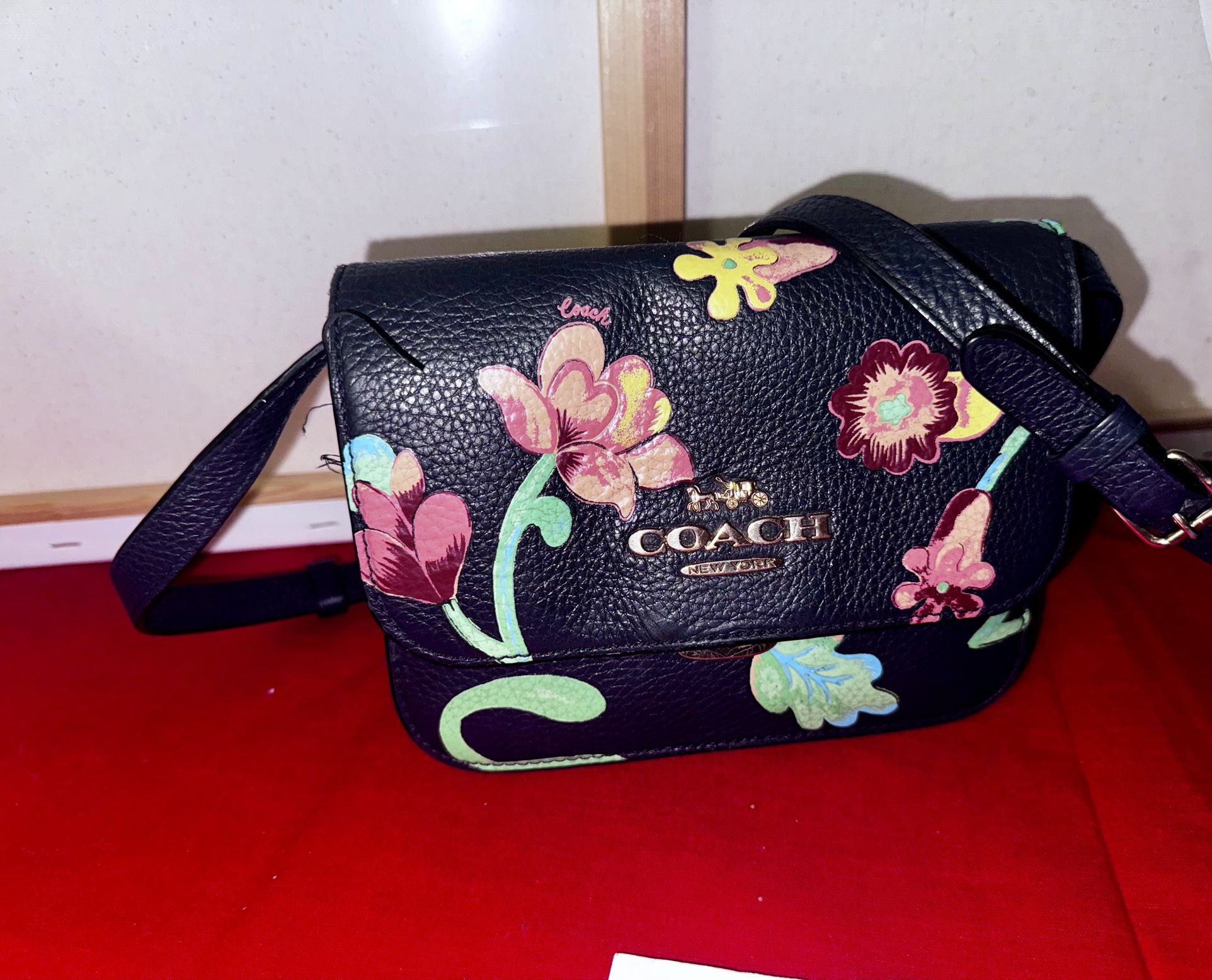 Coach Mini Brynn Crossbody hotsell With Dreamy Land Floral Print