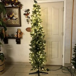 Xmas Tree Pre-lighted $60