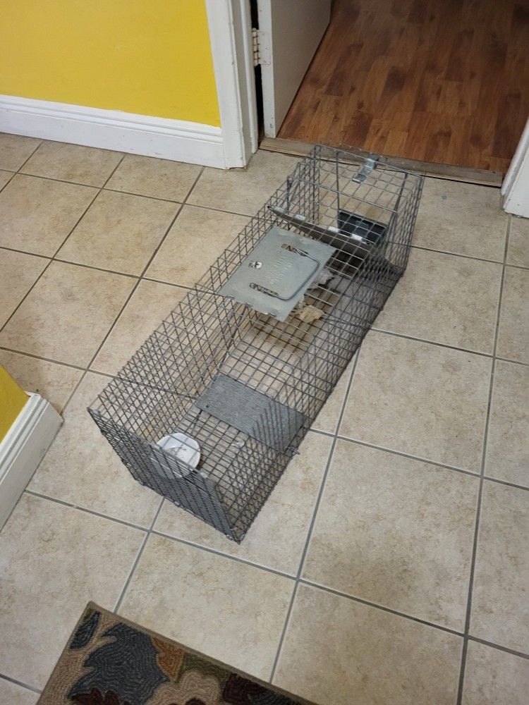 Animal Trap Used