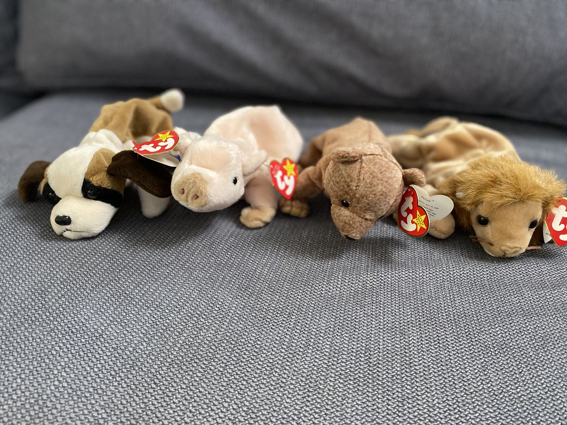 TY beanie babies lot of 4 “ Bernie; Knuckles; Pecan; Roary “