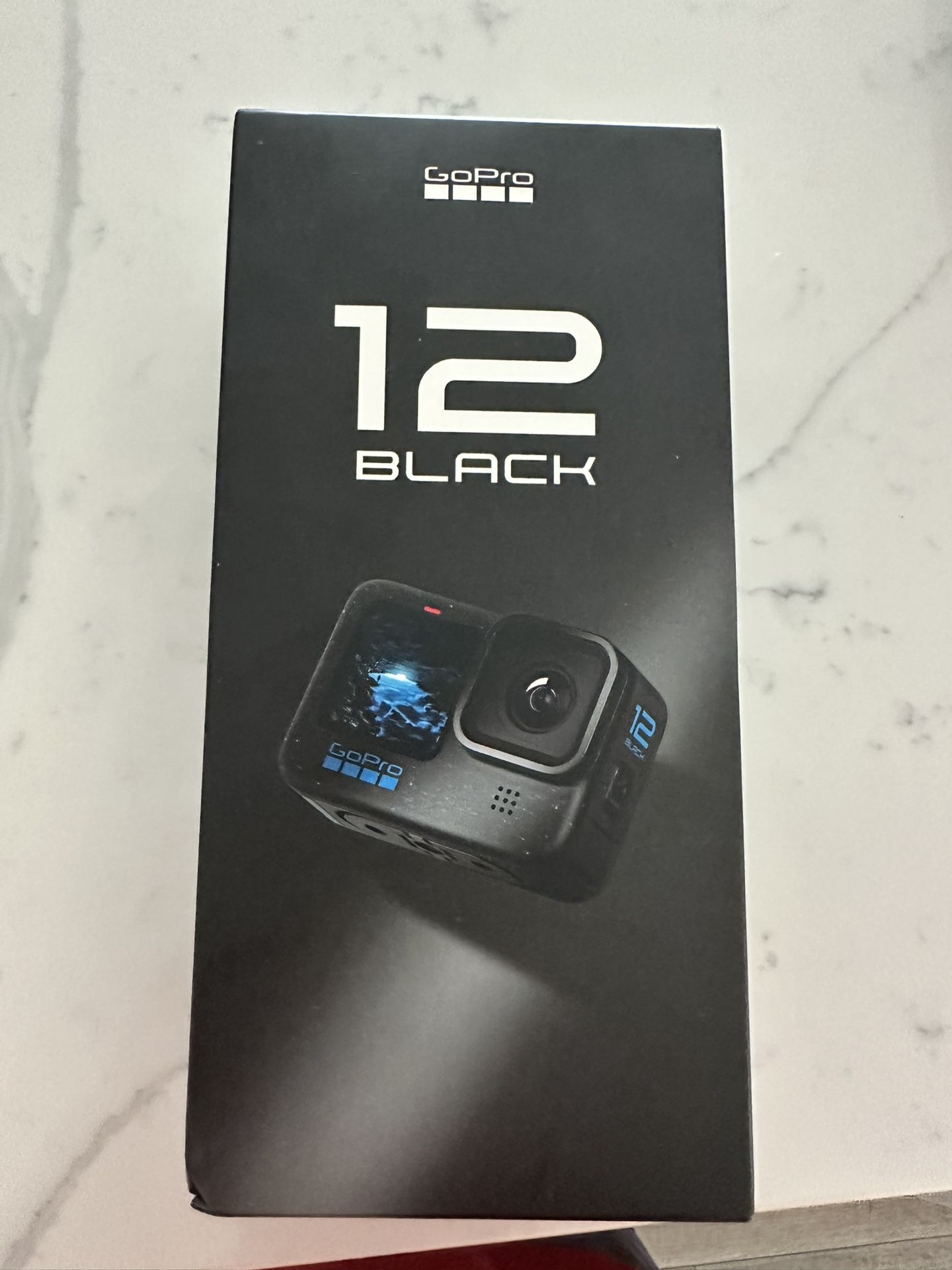Go Pro 12 Black
