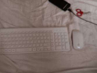Computer keyboard with mouse