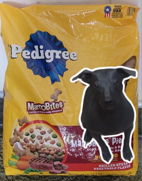 Comida Para Alebrijes Xoloitzcuintle