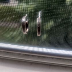 REAL Diamond Sterling Silver Hoop Earrings